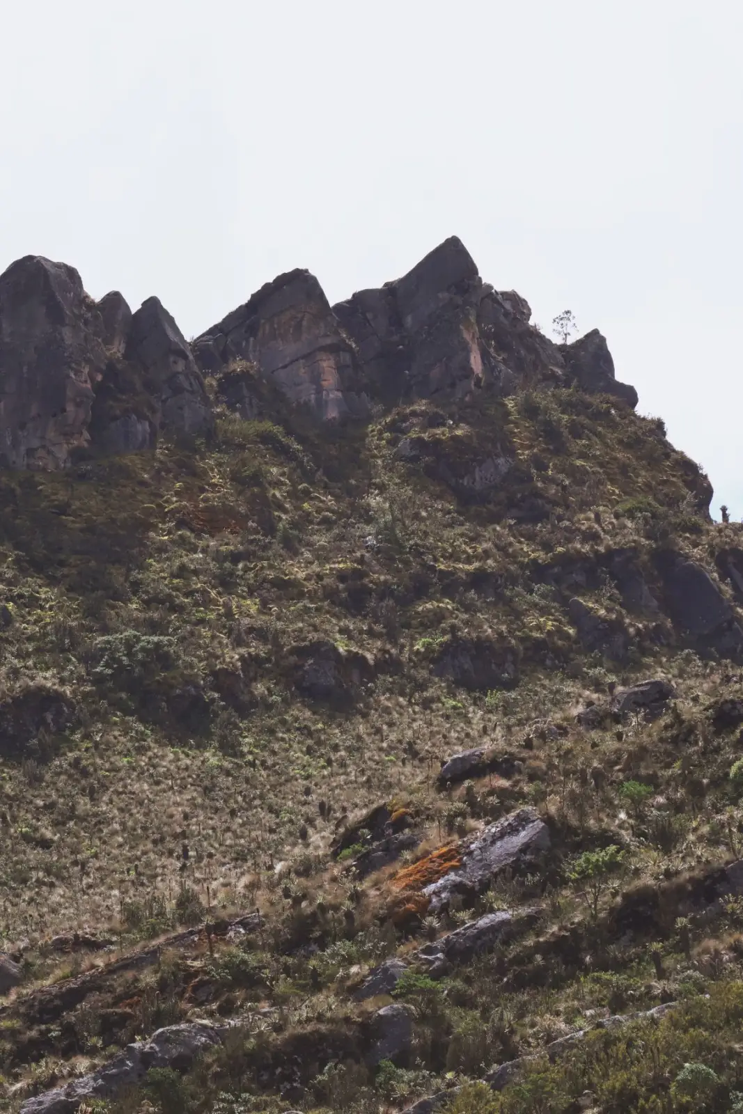 Farallones rocosos sobre una ladera de pajonal y frailejones